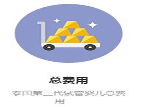 森艷精工出細(xì)活,泰國(guó)試管中介服務(wù)有保障